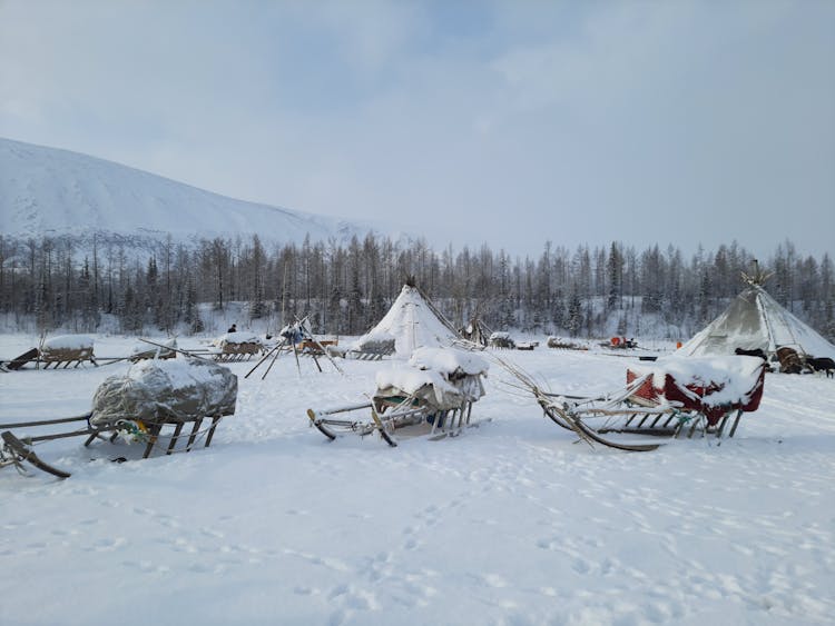 Sleighs On Campsite In Winter