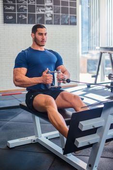 Athletic man in blue shirt performing seated row in a gym setting, showcasing strength and focus.