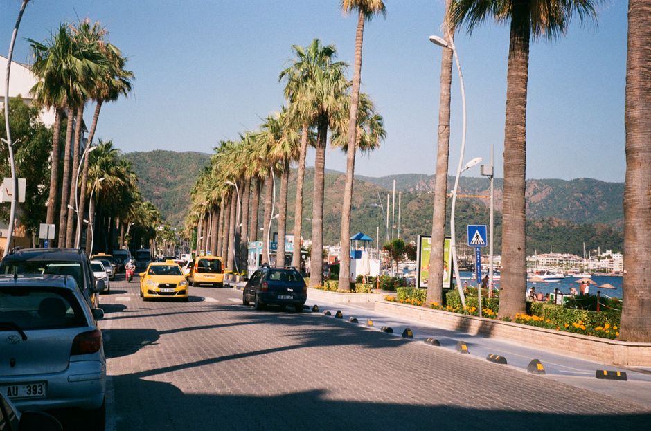 A vibrant summer scene featuring palm trees lining a busy street with cars and a seaside view.