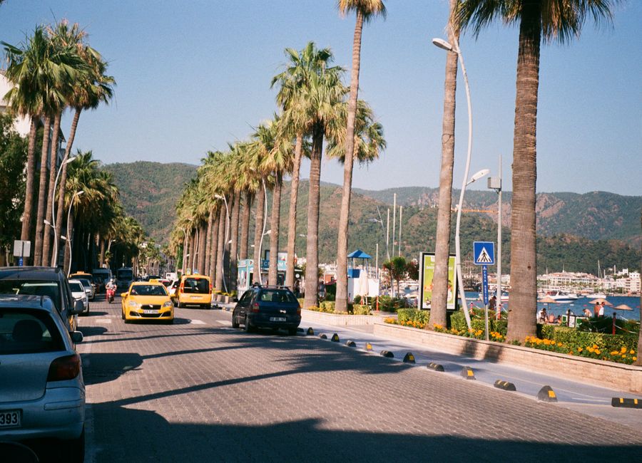 A vibrant summer scene featuring palm trees lining a busy street with cars and a seaside view.