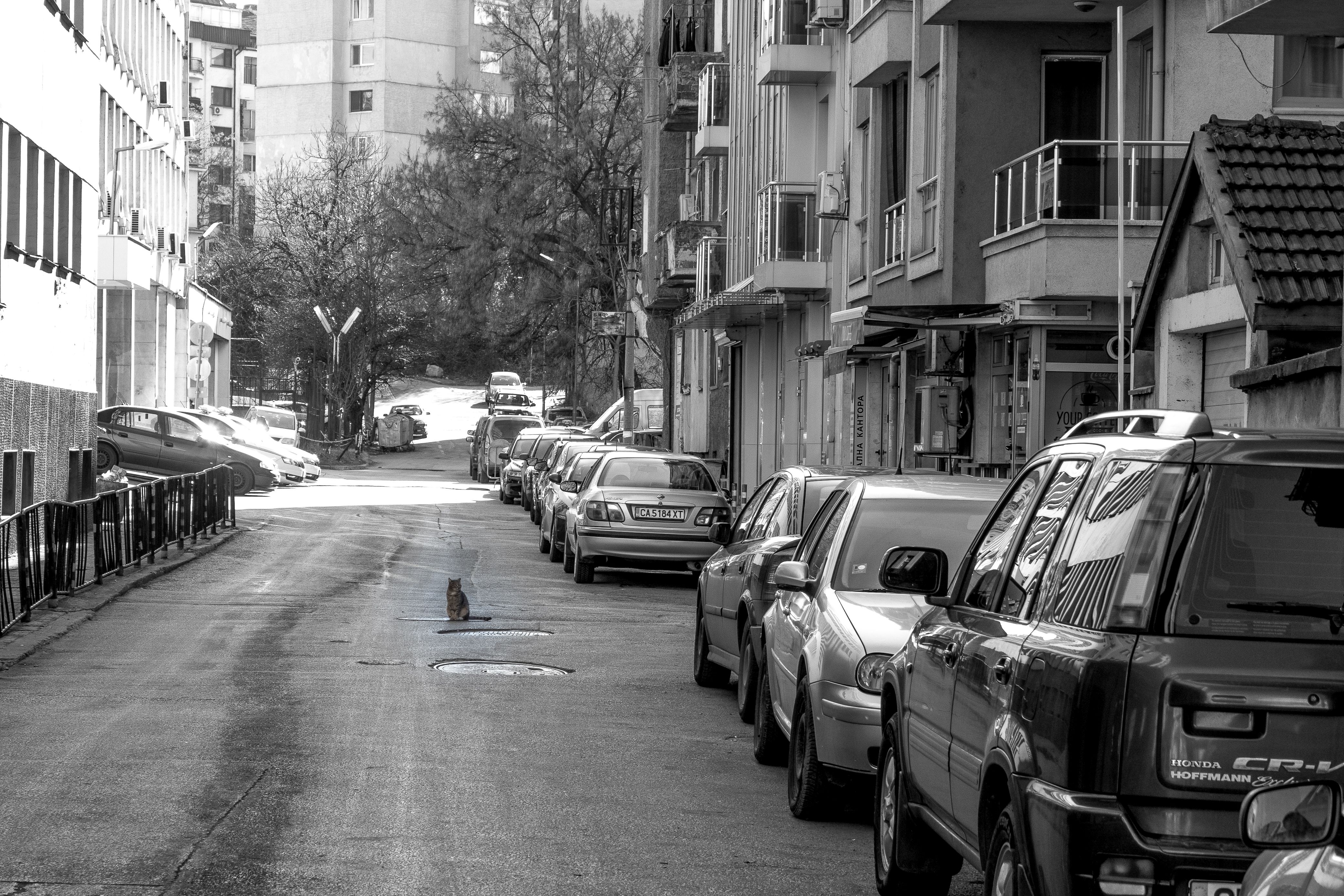 Grayscale Photo of Vehicles on Road · Free Stock Photo