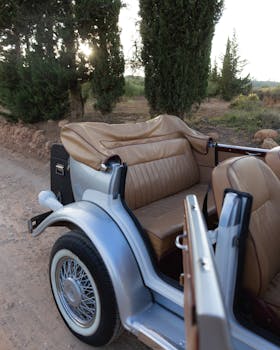 Elegant vintage convertible car parked in a scenic rural landscape with lush trees.