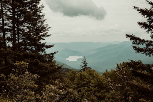 Gratis stockfoto met bergen, bewolkte lucht, bladeren