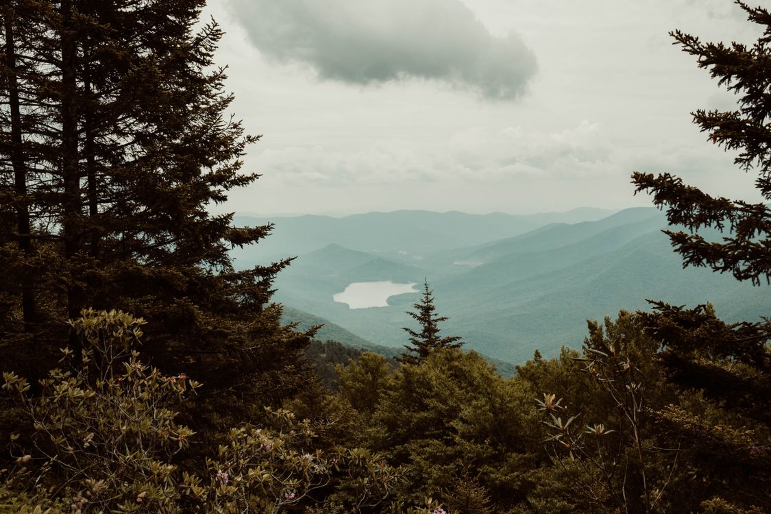 A Green Trees on Mountain Under the Cloudy Sky · Free Stock Photo