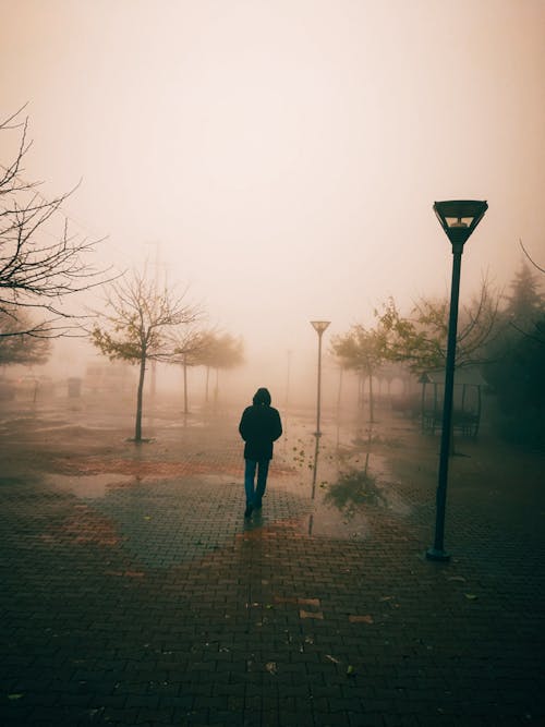 Person in Black Hoodie Jacket Walking in the Park on a Foggy Day