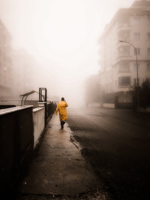 Darmowe zdjęcie z galerii z chodzenie, deszcz, mgła