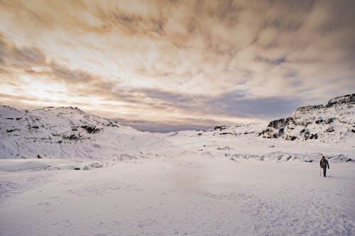 Ücretsiz dondurucu, kar, kar yağışlı içeren Ücretsiz stok fotoğraf Stok Fotoğraflar