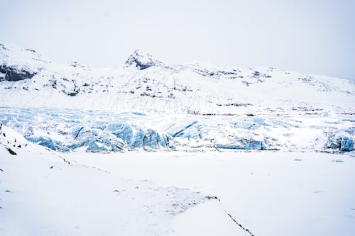 бесплатная Бесплатное стоковое фото с белый, зима, морозный Стоковое фото