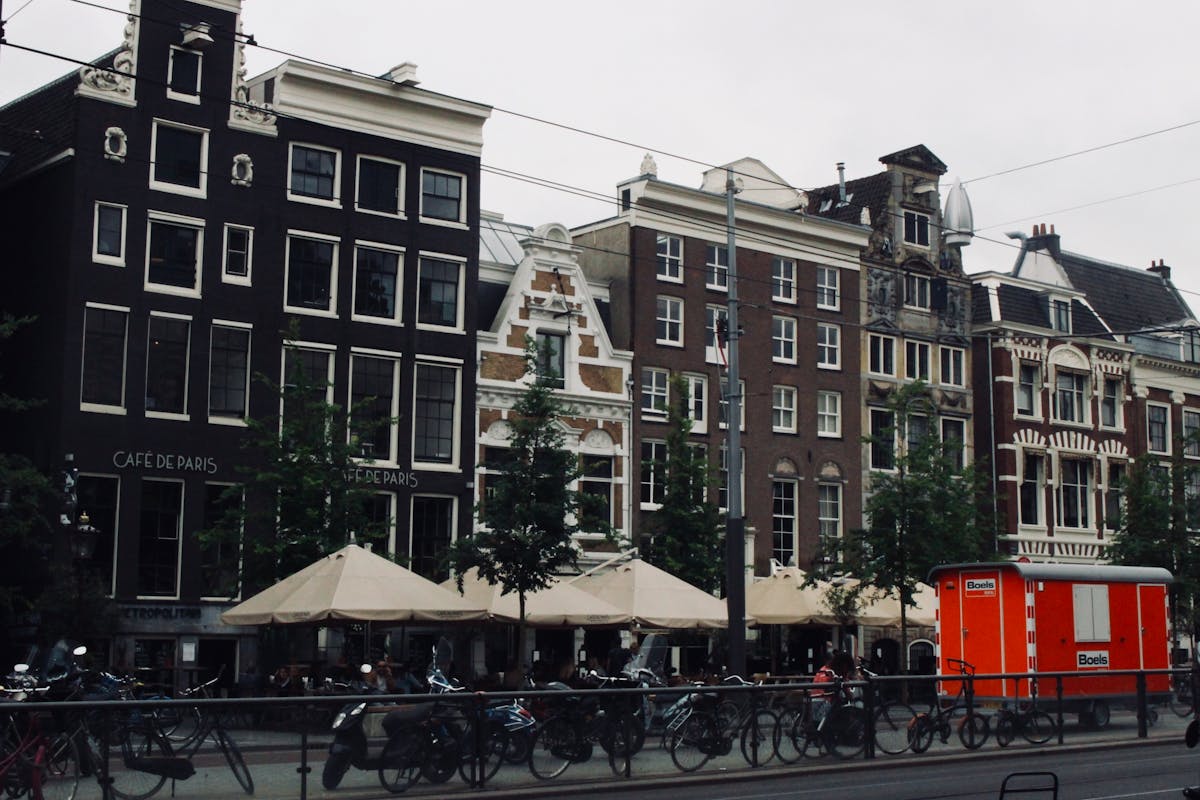 Stylized diagram concept of the human digestive system and endocrine pathways on a tablet screen