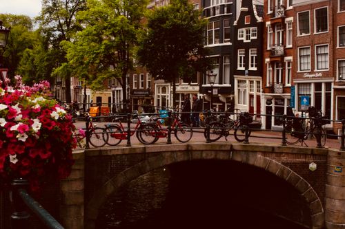 Free Scenic view of an Amsterdam canal bridge adorned with bicycles and vibrant flowers, perfect for urban travel inspiration. Stock Photo