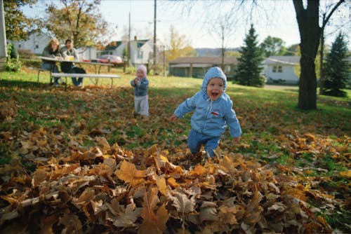 A Kid in a Blue Jacket Playing Near Dry Leaves