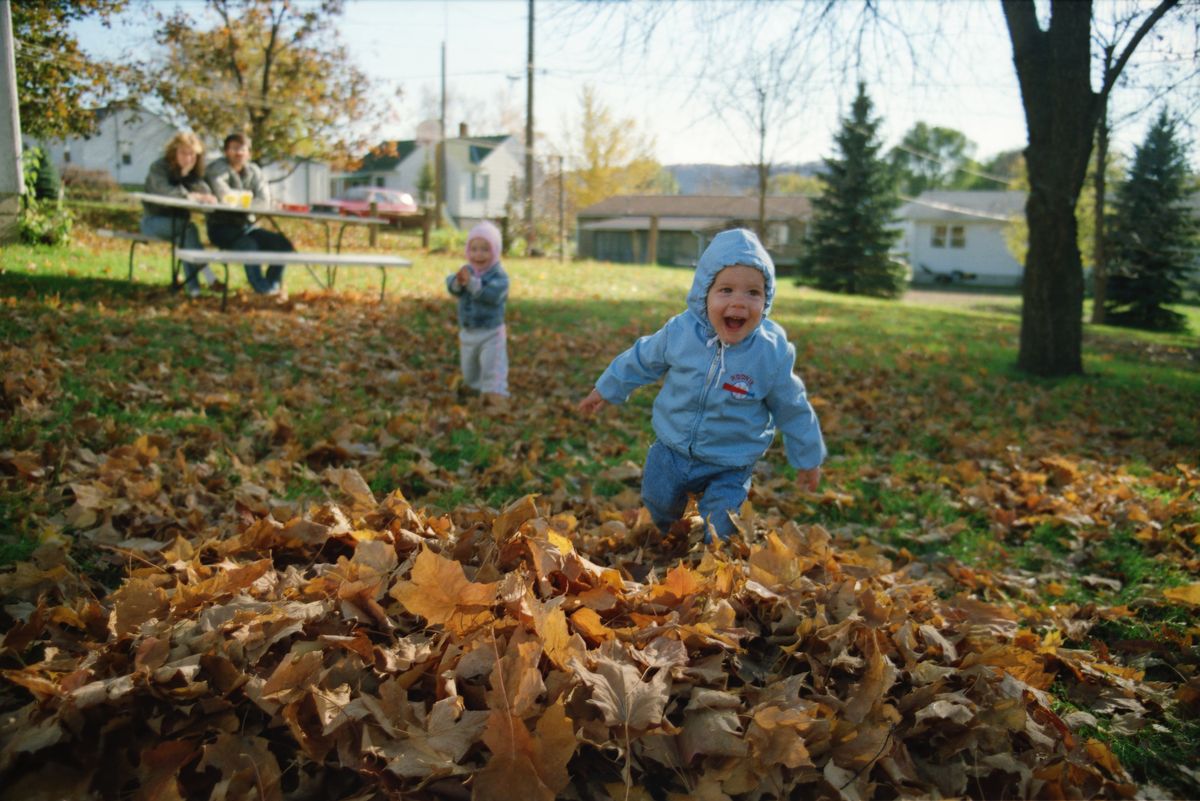 Children playing together in a pile of autumn leaves in a park