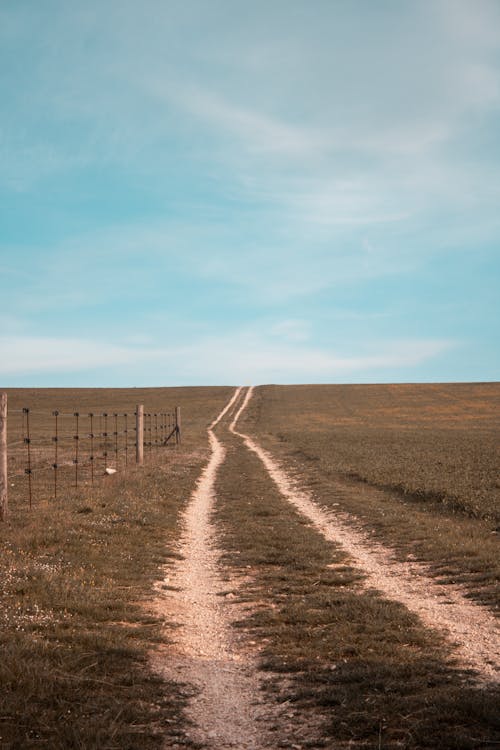 Free A Pathway in the Grass Field Stock Photo