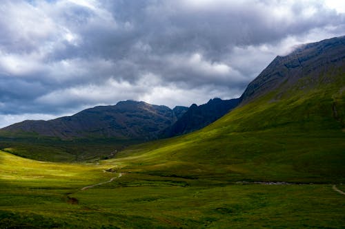 Green Grass Field Near the Rocky Mountain