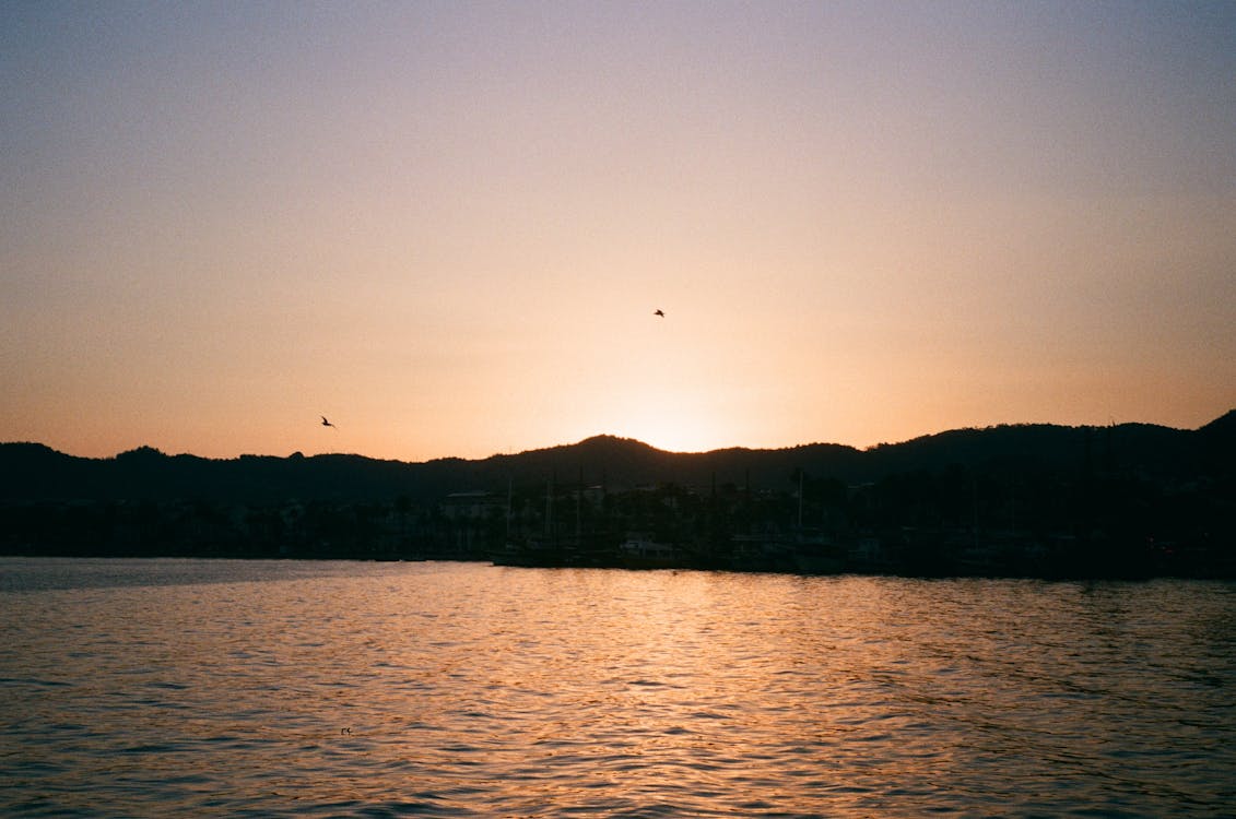 Immagine gratuita di acqua, alba, ambiente