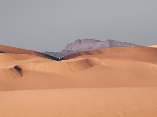 Foto d'estoc gratuïta de atractiu, desert, erm