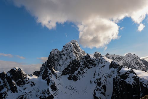 Immagine gratuita di ambiente, coperto di neve, fotografia della natura