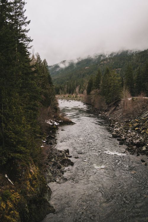 Free Discover the tranquil beauty of a winding river through lush forests in Vancouver during winter. Stock Photo