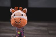 Rattle toy in a wooden background