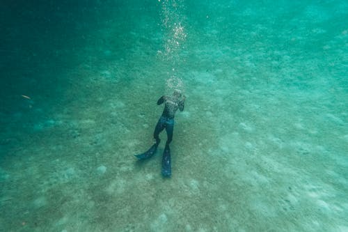 免费 水下, 深海, 游泳 的 免费素材图片 素材图片