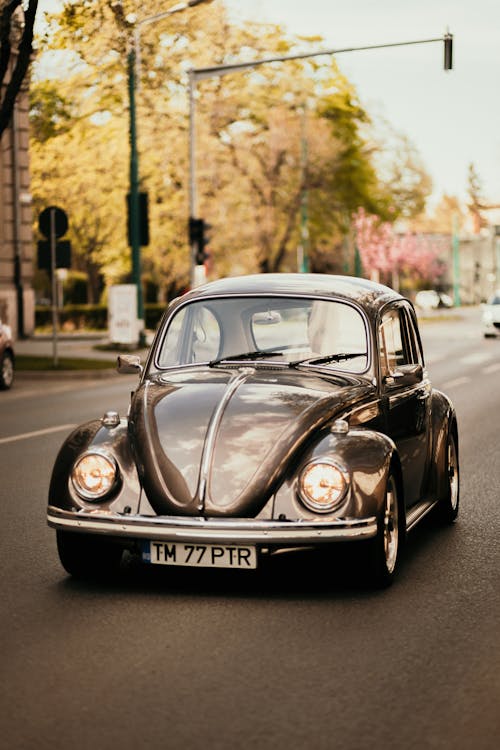 Black Volkswagen Beetle on the Road