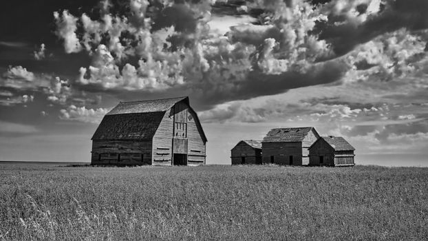Rustic barns under a dramatic cloudy sky on a rural farm landscape.