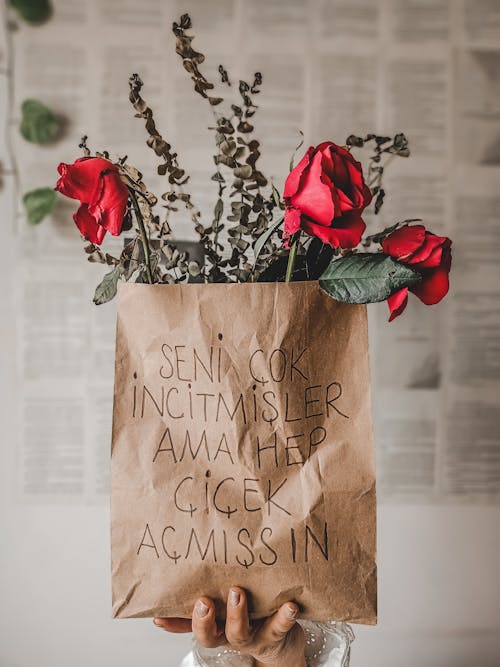 Free Red Roses in a Paper Bag Stock Photo