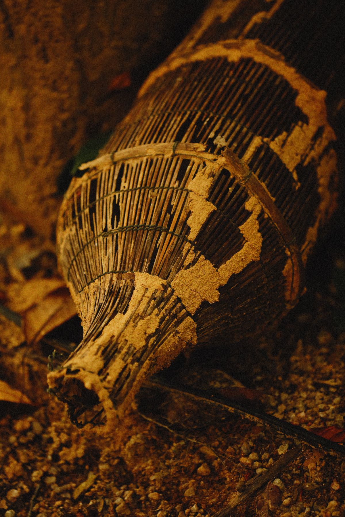 Termite-damaged wood, representing subterranean termite activity