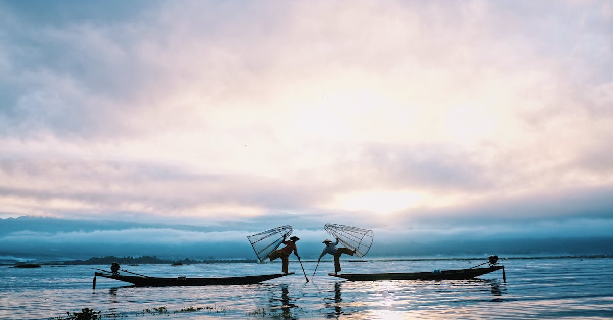 Mastering Worm Fishing: Guide to Effective Bait Techniques