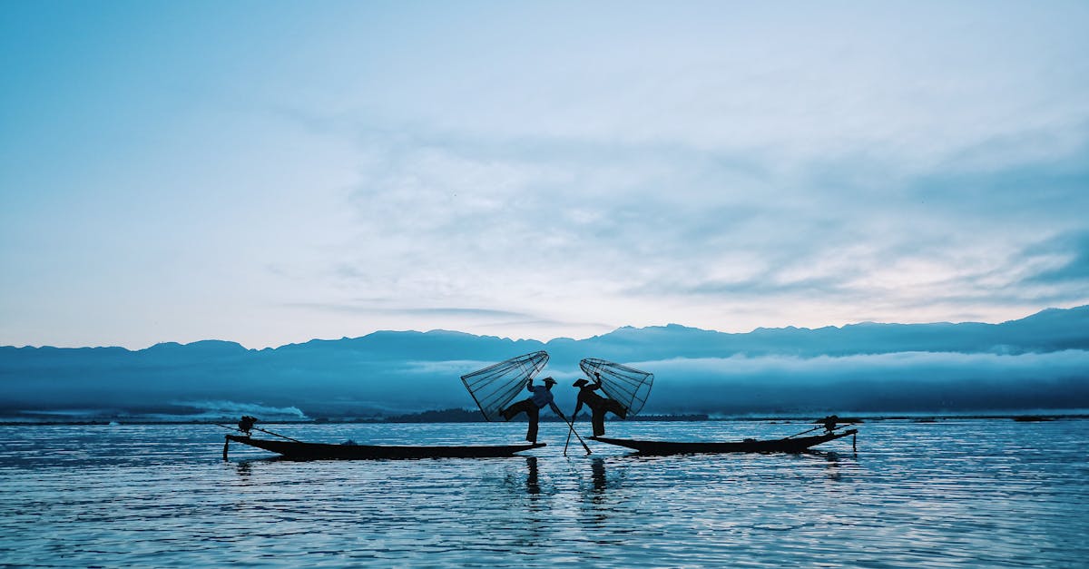 Lake Fishing: Navigating Change in a Competitive Environment