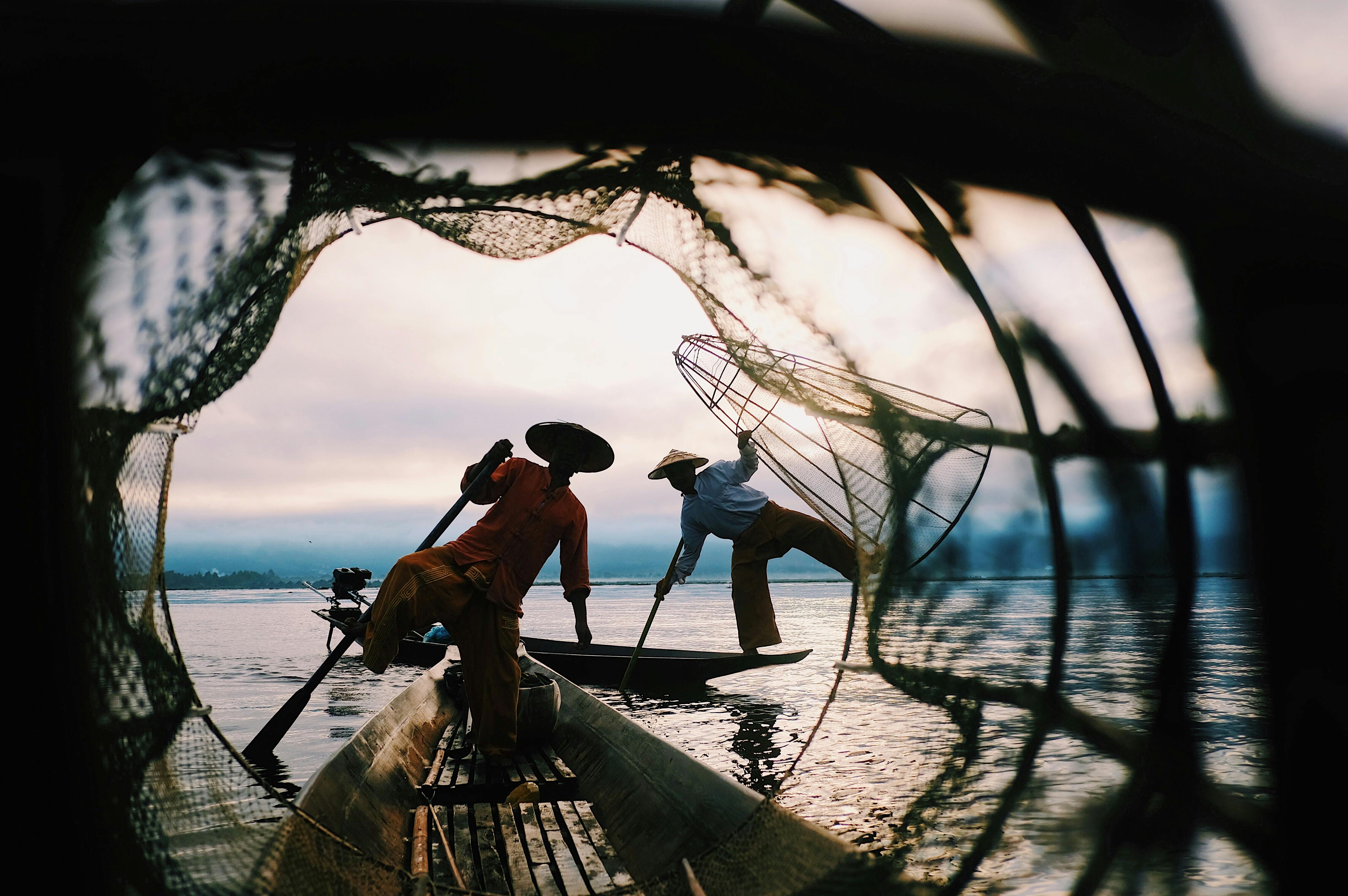 What is the healthiest fish?