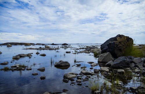 Photograph of a Rocky Shore