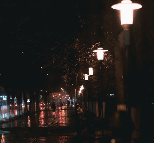 Free stock photo of lights, nihgt, rain