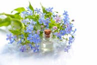 Purple Flowers Beside Clear Glass Bottle