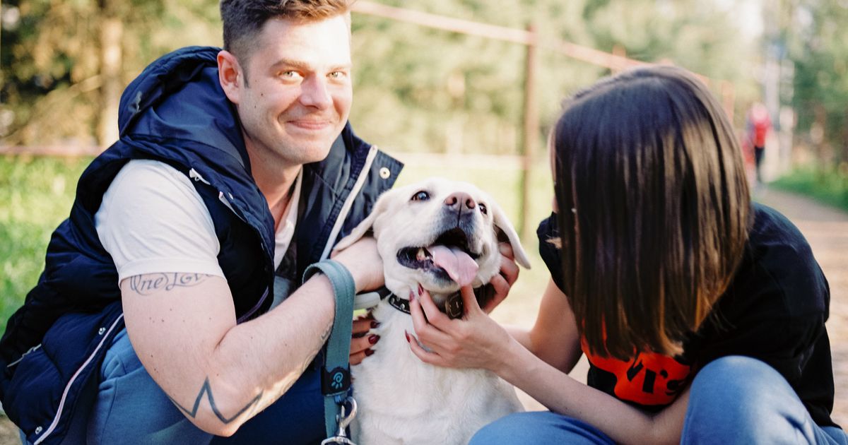 Automate Client Onboarding for Veterinary Clinics (2026)