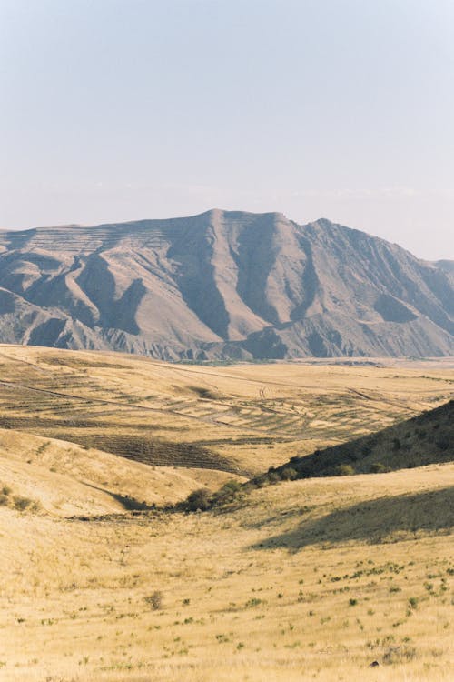 Základová fotografie zdarma na téma hora, hřiště, krajina