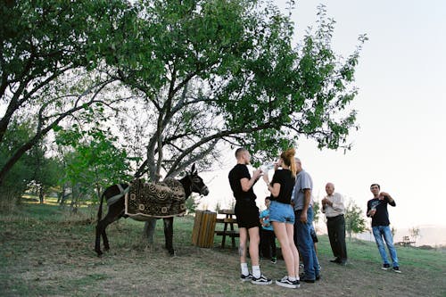 People Relaxing in Nature