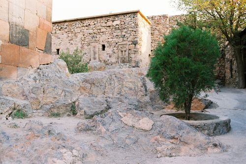Free A historic stone structure with a tree and detailed bas-relief, evoking ancient architecture. Stock Photo