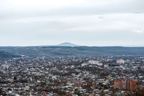 Foto profissional grátis de aerofotografia, árvores, cidade