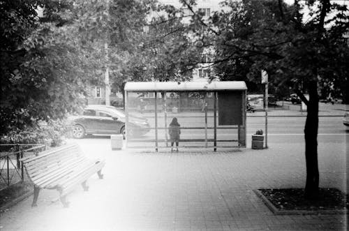 Bus Stop in Black and White