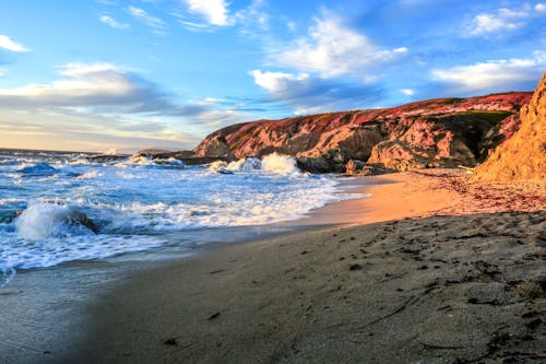 Sandy Beach of Bodega Bay