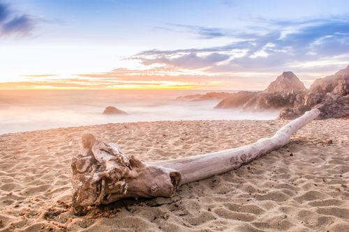 Free Scenic view of Bodega Bay beach at sunset with driftwood on the sand and crashing waves. Stock Photo