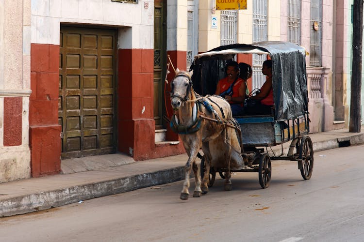 Men On Horse Cart