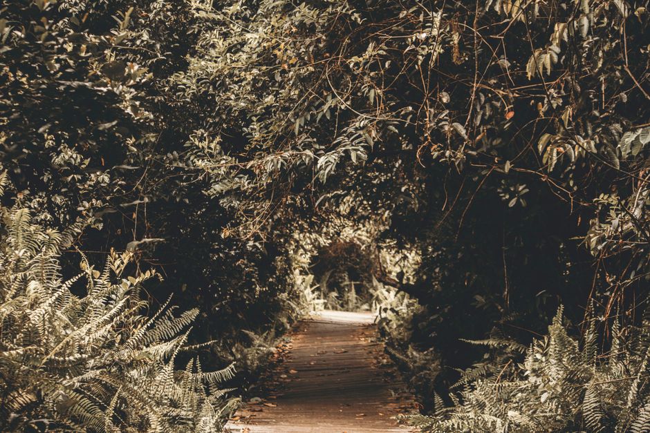 Embrace the Journey: The Path to Artistic Growth Embrace the Journey: The Path to Artistic Growth