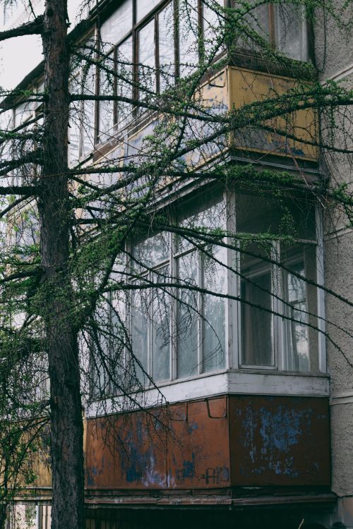 Free A derelict building's balcony shows signs of disrepair and overgrown nature. Stock Photo