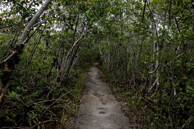 Nature landscape photo by Howard Rapp — outdoor photography