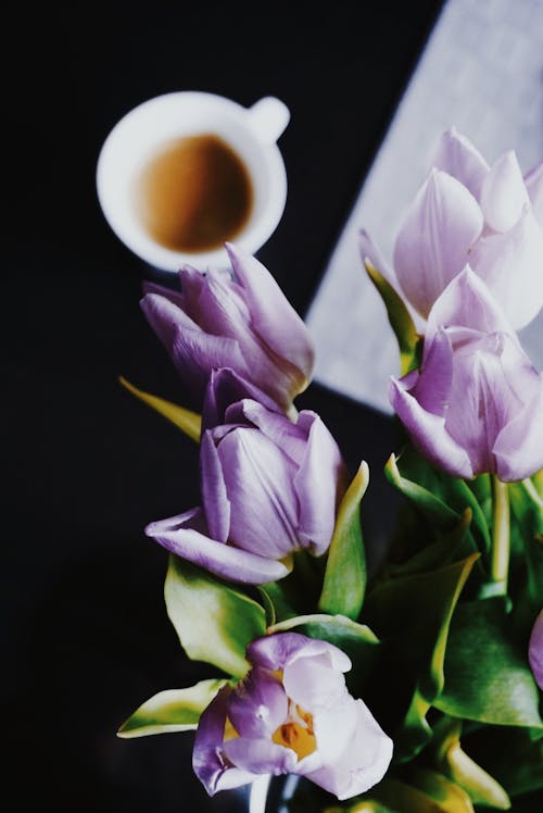 Flower Near Cup