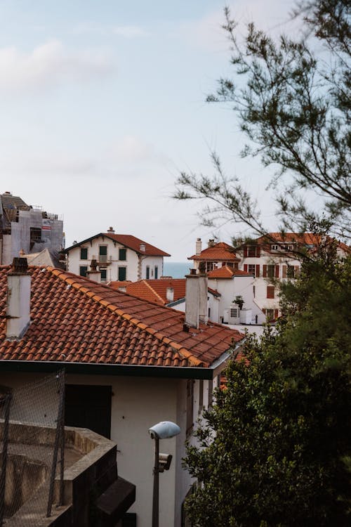 Photograph of White Houses with Brown Roofs