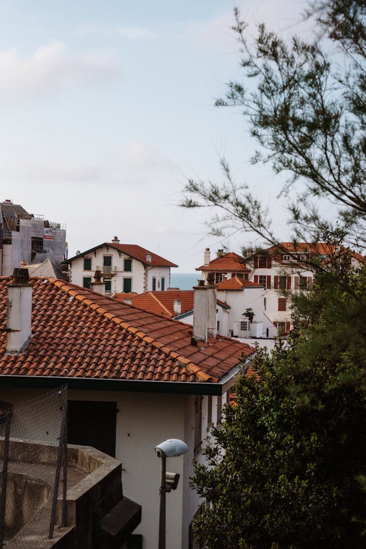 Photograph Of White Houses With Brown Roofs