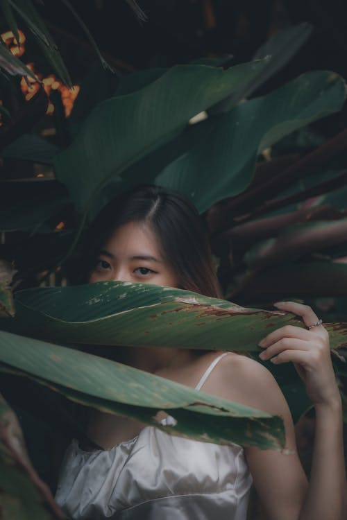 Ilmainen kuvapankkikuva tunnisteilla aasialainen tyttö, henkilö, kaunis